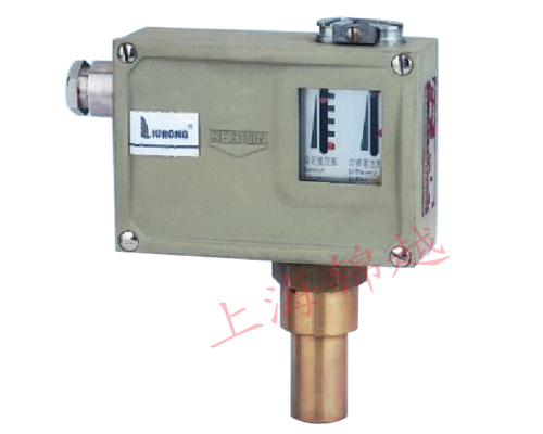 防爆壓力控制器  D505/7D、D505/7DK