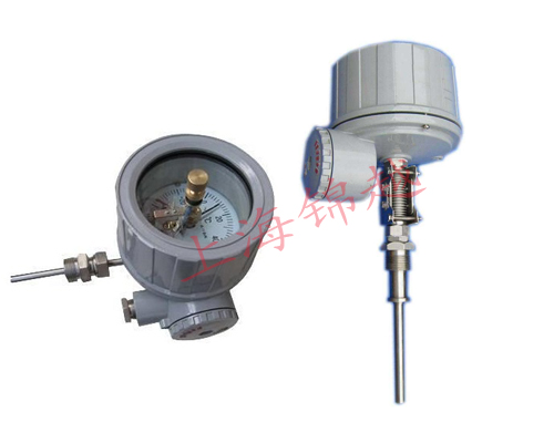 隔爆電接點(diǎn)雙金屬溫度計 WSSX-413B